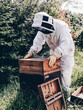 Apiculteur récolte son miel