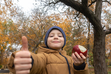 Portrait of a cute little boy 6 years old who eats an apple with appetite,  he smiles and shows thumbs up