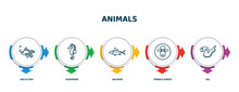 Editable Thin Line Icons With Infographic Template. Infographic For Animals Concept. Included Gold Fish, Seahorse, Salmon, Female Sheep, Eel Icons.