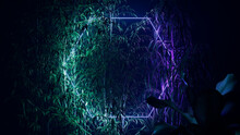 Tropical Plants Illuminated With Green And Purple Fluorescent Light. Nature Environment With Hexagon Shaped Neon Frame.