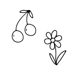 Wall Mural - Hand drawn flower daisy and berries cherry. Vector outline sketch. Line art doodle isolated on white