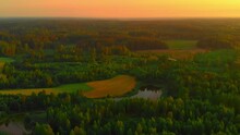 Breathtaking Serene Aerial View Of Vast European Forest At Sunset, Backward