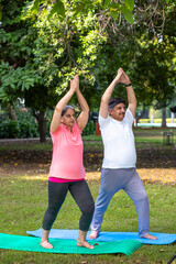 Wall Mural - senior Men and women doing yoga in garden