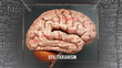 Utilitarianism in human brain - dozens of important terms describing Utilitarianism properties painted over the brain cortex to symbolize Utilitarianism connection with the mind.,3d illustration