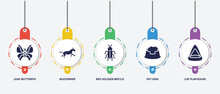 Infographic Element Template With Pet Lovers Filled Icons Such As Leaf Butterfly, Bulterrier, Red Soldier Beetle, Pet Dish, Cat Playhouse Vector.