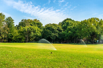 Wall Mural - Panorama of big city park