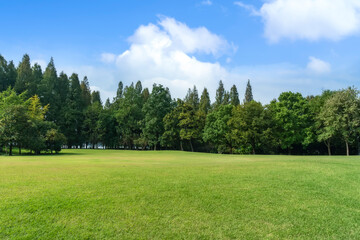 Wall Mural - panorama of big city park