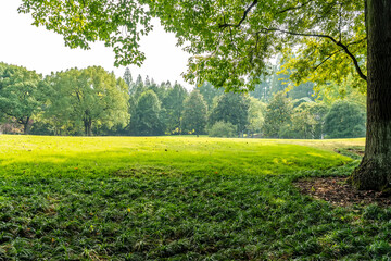 Wall Mural - Panorama of big city park