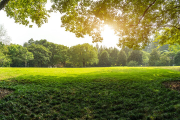 Wall Mural - Panorama of big city park