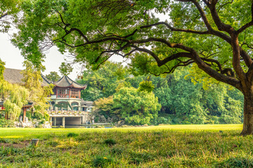 Wall Mural - Panorama of big city park