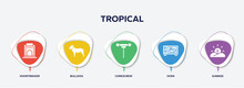 Infographic Element Template With Tropical Filled Icons Such As Voortrekker, Bulldog, Corkscrew, Oven, Sunrise Vector.