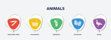 Infographic Element Template With Animals Filled Icons Such As Swiss Army Knife, Food Basket, Lemonade, Easter Egg, Goose Vector.