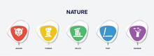 Infographic Element Template With Nature Filled Icons Such As Jaguar, Turban, Relics, Trap, Baobab Vector.