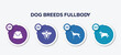 infographic element template with dog breeds fullbody filled icons such as pet dish, sawfly, greyhound, english cocker spaniel vector.