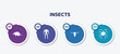 infographic element template with insects filled icons such as porcupine, diving suit, bull, opiliones vector.
