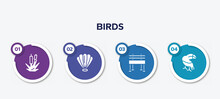 Infographic Element Template With Birds Filled Icons Such As Bulrush, Shell, Bench, Toucan Vector.