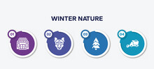 Infographic Element Template With Winter Nature Filled Icons Such As Gift Shop, Siberian Husky, Pine, Snowplow Vector.