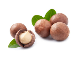 Poster - Macadamia nuts with leaves