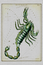 Zodiac In 1824 Urania's Mirror Board Scorpio Panels From Vectors
