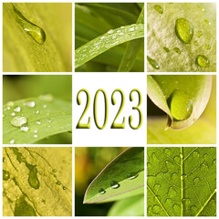 2023, green leaves and raindrops photo collage, nature and water greetings