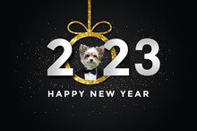 Happy New Year 2023 With A Dog, Biewer Yorkshire