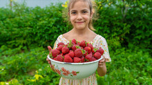 Smiling Girl Holding Bowl Of Strawberries