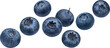 Leinwandbild Motiv Blueberry berry isolated
