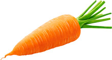 Carrot Vegetable Isolated