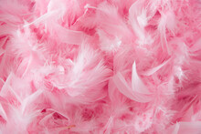 Background Of Pink Feathers Beautiful Tactile Soft Surfaces And Texture