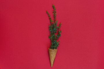 Green branch of Christmas tree in waffle cone on red background. Concept of celebrating cold winter holidays in cup of ice cream as comparison of winter and summer. Top view, flat lay. Copy space