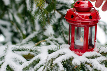 Red Lantern On Branches Of Spruce Covered With Snow