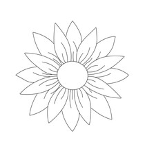 Vector Isolated Big Sunflower Flower With Petals Front View Top View Colorless Black And White Contour Line Easy Drawing