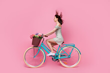 Profile Side Full Body Photo Of Positive Cheerful Lady Wear Mini Skirt Ride Bicycle Weekend Look Empty Space Isolated On Pink Background
