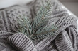 Cozy gray warm sweater with fir tree branch. Autumn winter concept.
