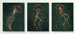 © VectorART - Dark green art background with luxury jellyfish image in gold art line style. Animalistic set of prints with marine life for poster design, textile, interior design, wallpaper, packaging.