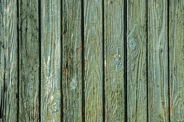 Wall Mural - Old weathered faded paint wooden board garden wall closeup as green grunge background