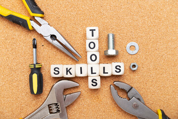 words TOOLS and SKILLS are written on wooden blocks. housework tools. business concept of skills and abilities