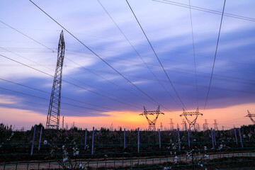 In the evening, the silhouette of high voltage towers