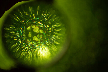 Green glitter reflections thru a lens ball, on black background