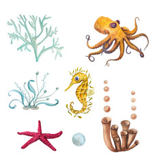 Wall Mural - Watercolor illustration of a set of marine fauna isolated on white background. Octopus, starfish, shells, corals, seahorse, seaweed, plants, water, sea, ocean. Print design poster fabric decoration