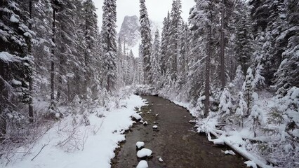 A winter wonderland view of the glacial river in Emerald Lake Yoho National Park Version 2
