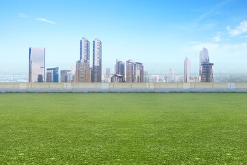 Wall Mural - Grass inside the football stadium