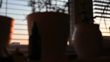 Pots With Flowers On A Window With Blinds With The Dawn Sun. Smooth Camera Pan