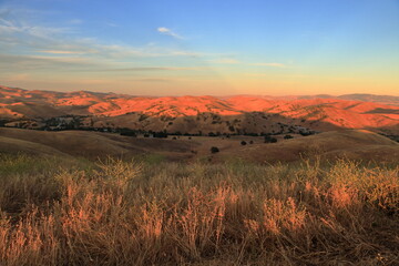 Wall Mural - Golden hour in the East Bay hills near Livermore, California