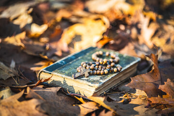 Wall Mural - Wooden rosary beads and holy bible book lying on autumn leaves.