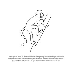 Wall Mural - Monkey line design. Wildlife decorative elements drawn with one continuous line. Vector illustration of minimalist style on white background.