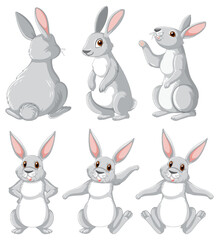 Wall Mural - white rabbits in different poses set