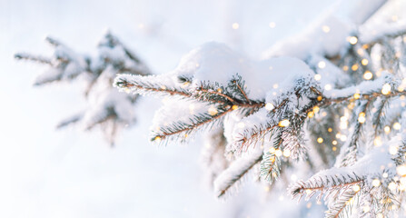 Wall Mural - outside christmas tree branch with snow caps in front of lights from garlands.