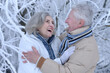 © aletia2011 - Nicel elderly couple rejoice together in winter