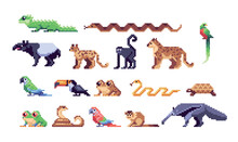 Costa Rica Animals  Pixel Art Set. Exotic Species Collection. Tropical Wildlife. 8 Bit. Game Development, Mobile App.  Isolated Vector Illustration.